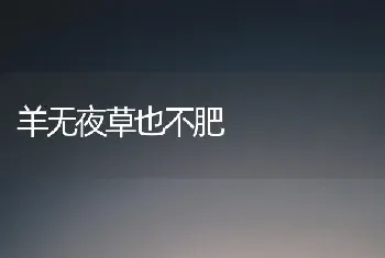 羊无夜草也不肥