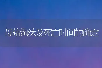 母猪淘汰及死亡时间的确定