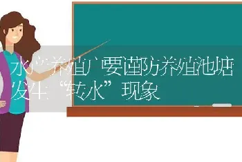 水产养殖户要谨防养殖池塘发生“转水”现象