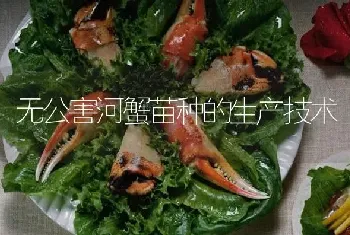 无公害河蟹苗种的生产技术