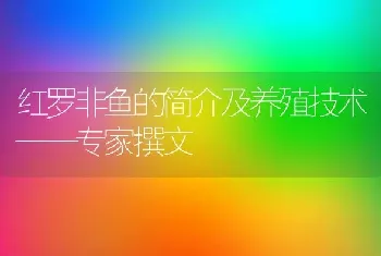 红罗非鱼的简介及养殖技术——专家撰文