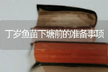 丁岁鱼苗下塘前的准备事项