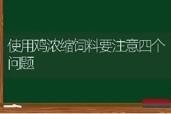 使用鸡浓缩饲料要注意四个问题