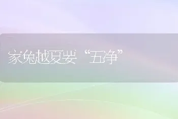 家兔越夏要“五净”