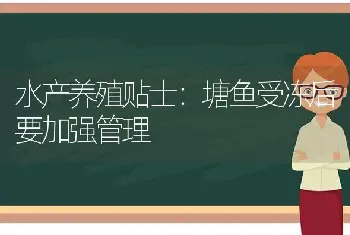 水产养殖贴士：塘鱼受冻后要加强管理