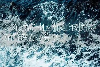 广东珠海地区南美白对虾养殖管理方法分享