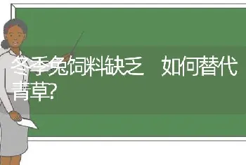 冬季兔饲料缺乏 如何替代青草?