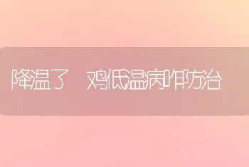 降温了 鸡低温病咋防治