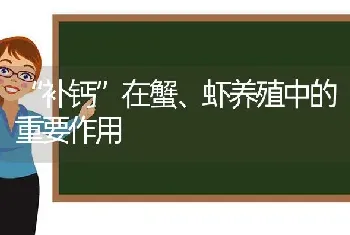 “补钙”在蟹、虾养殖中的重要作用