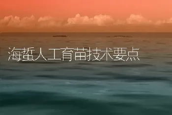 海蜇人工育苗技术要点