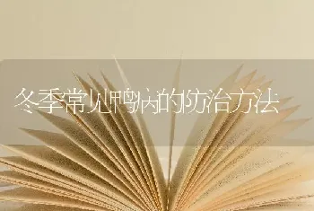 冬季常见鸭病的防治方法