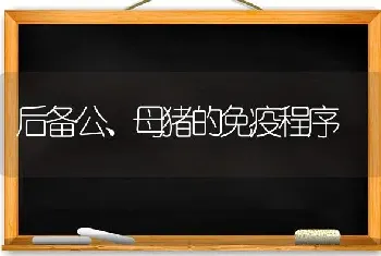 后备公、母猪的免疫程序