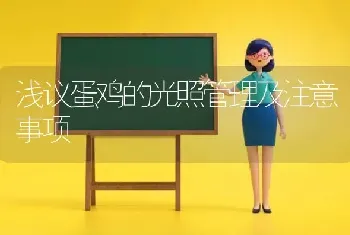 浅议蛋鸡的光照管理及注意事项