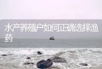 水产养殖户如何正确选择渔药