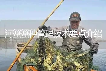 河蟹蟹种管理技术要点介绍