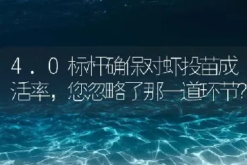 4.0标杆确保对虾投苗成活率,您忽略了那一道环节?