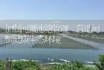 加强河蟹池塘管理 营造河蟹健康生态环境