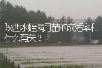 陕西水蛭满月苗的成活率和什么有关?