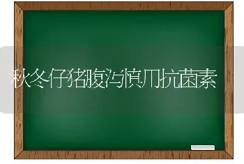 秋冬仔猪腹泻慎用抗菌素