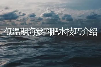 低温期海参圈肥水技巧介绍