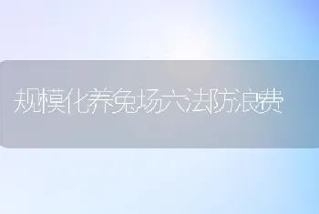 规模化养兔场六法防浪费