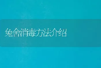 兔舍消毒方法介绍