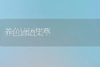 养鱼谚语集萃