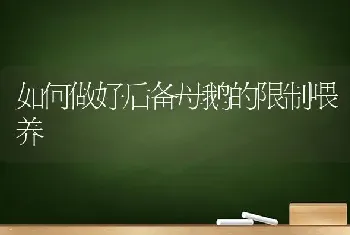 如何做好后备母鹅的限制喂养