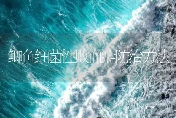 鲫鱼细菌性败血症防治方法