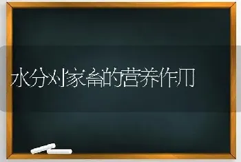 水分对家畜的营养作用