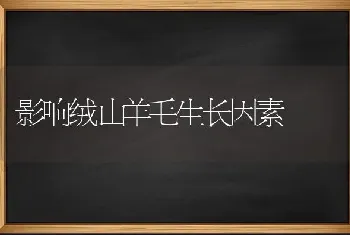 影响绒山羊毛生长因素