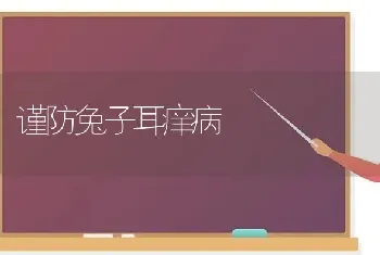 谨防兔子耳痒病