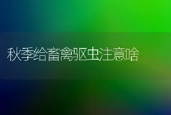 秋季给畜禽驱虫注意啥