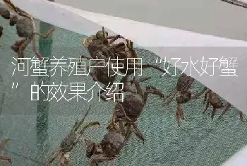 河蟹养殖户使用“好水好蟹”的效果介绍