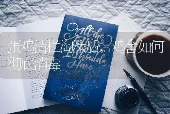 蛋鸡清栏淘汰后,鸡舍如何彻底消毒