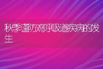 秋季谨防鸡呼吸道疾病的发生