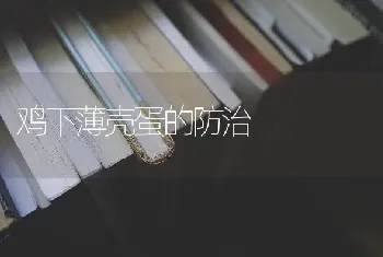 鸡下薄壳蛋的防治