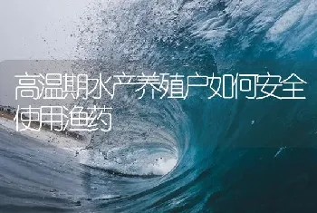 高温期水产养殖户如何安全使用渔药