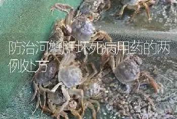 防治河蟹肝坏死病用药的两例处方