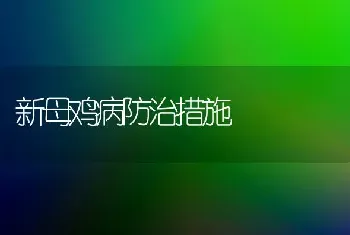 新母鸡病防治措施