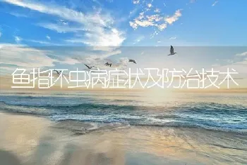 鱼指环虫病症状及防治技术