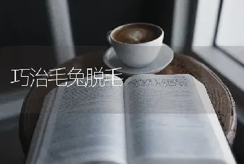 巧治毛兔脱毛