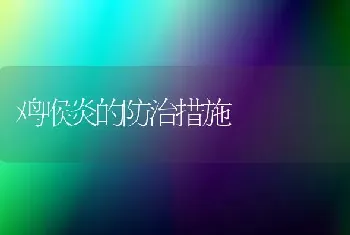 鸡喉炎的防治措施