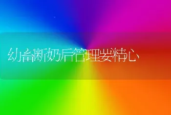 幼畜断奶后管理要精心