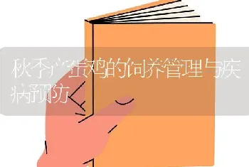 秋季产蛋鸡的饲养管理与疾病预防