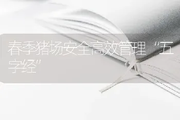 春季猪场安全高效管理“五字经”