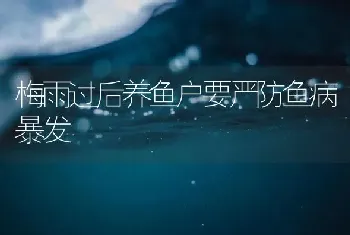 梅雨过后养鱼户要严防鱼病暴发