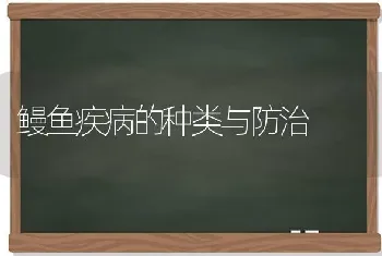 鳗鱼疾病的种类与防治