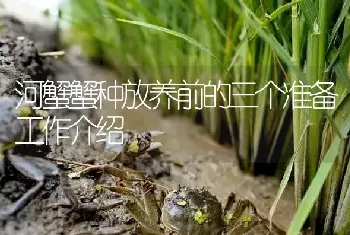 河蟹蟹种放养前的三个准备工作介绍