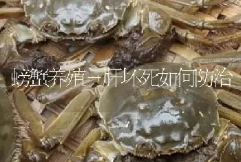 河蟹雨后管理